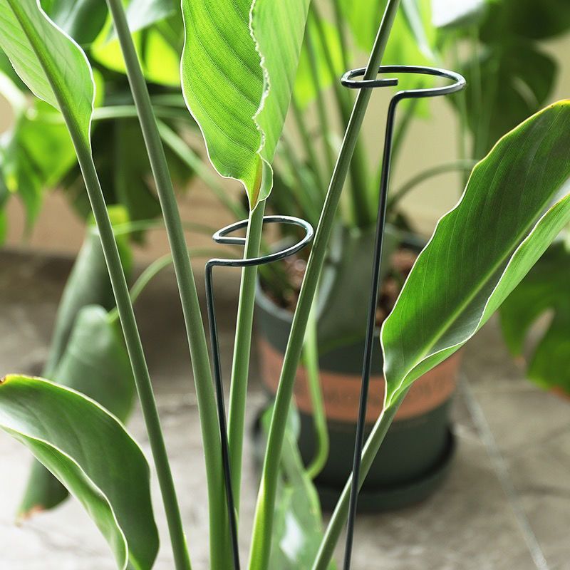 1/10 szt. Metalowy pierścień p – Gardening Tools Range recenzja i cena