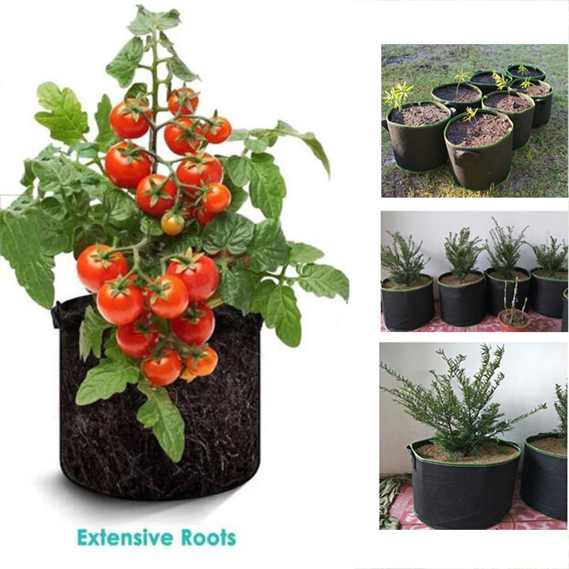 20Gal doniczki do uprawy warzy – Gardening Tools Big recenzja i cena