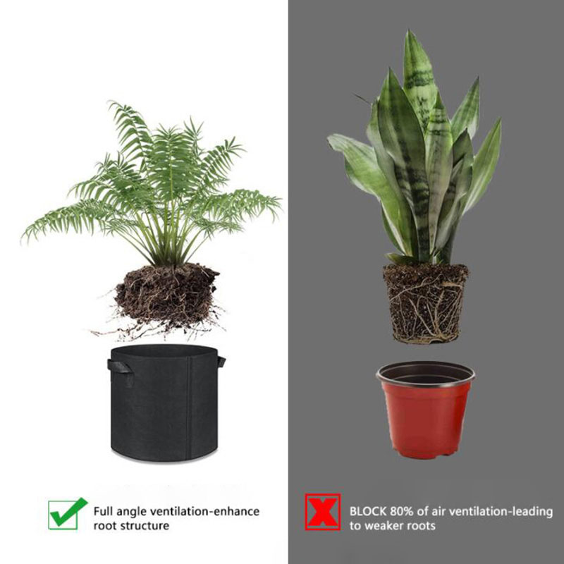 5gal 10gal tkanina roślina zie – Gardening Tools Big recenzja i cena