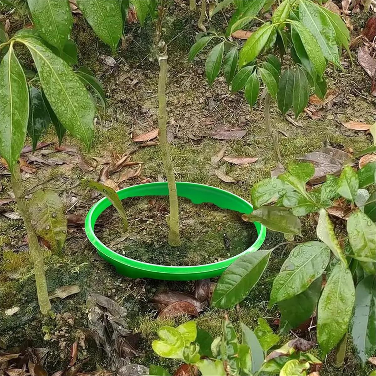 Duża Zniżka na 4 Pierścienie O – Gardening Tools Big recenzja i cena