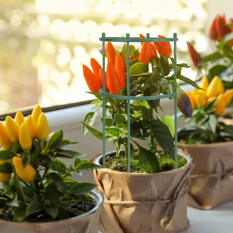 Plastikowe podpórki do roślin, – Gardening Tools Range recenzja i cena