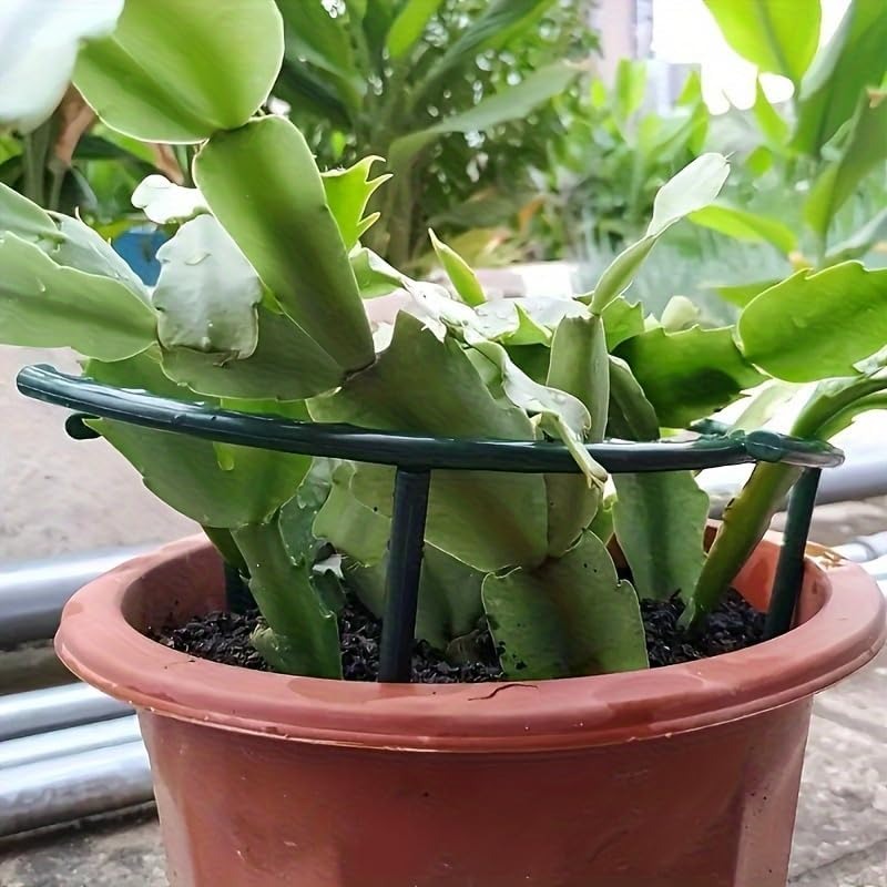 30-1 SZT. Plastikowe Podpórki  – Gardening Tools Range recenzja i cena