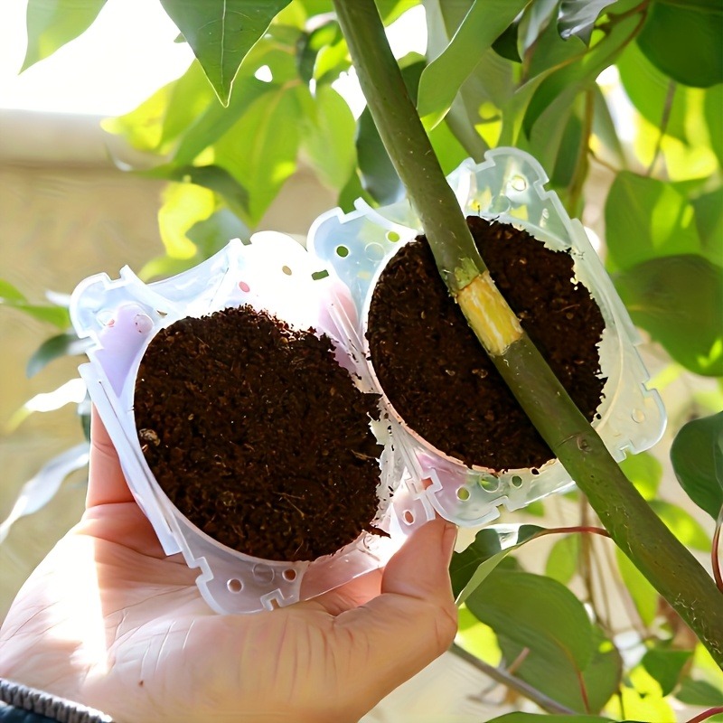 10-częściowy zestaw do rozmnaż – Gardening Tools Cutter recenzja i cena